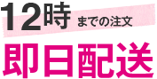 12時までの注文で即日配送