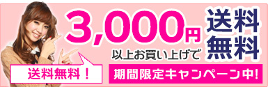 3000円以上で送料無料